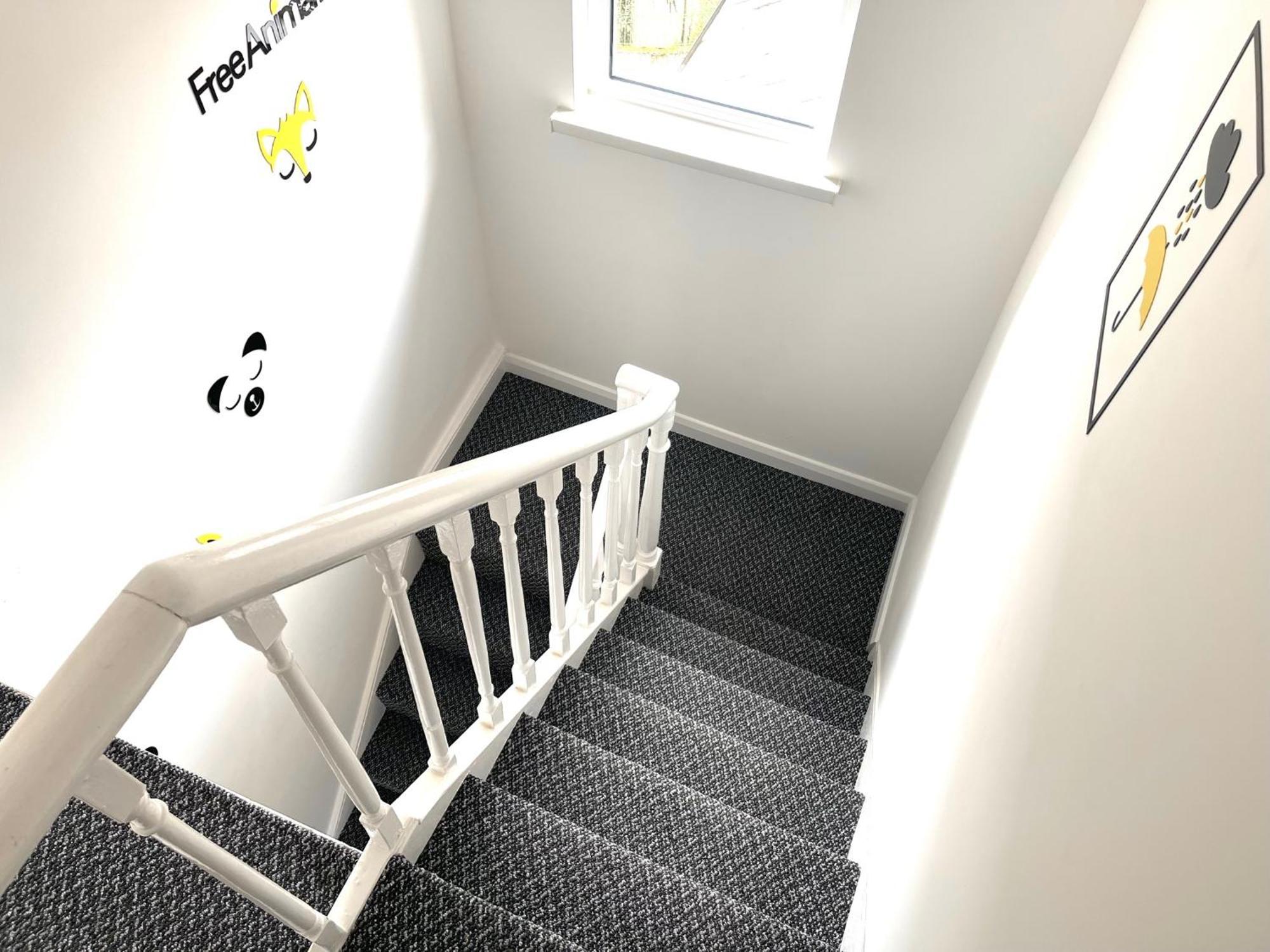 Entire Yellowapt Near Belfast City Centre - Free Parking - Up To 3 Guests - 2 Beds Luaran gambar